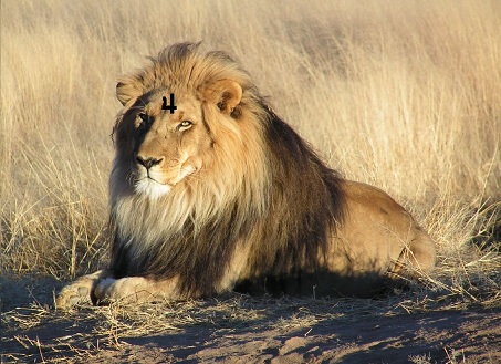 Stock image courtesy Kevin Pluck