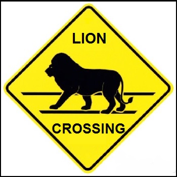 LionCrossing