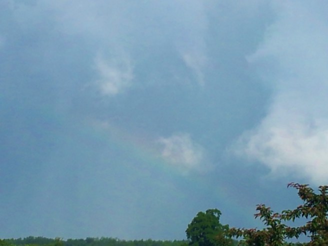 ©EmpoweredDestiny.com 2015