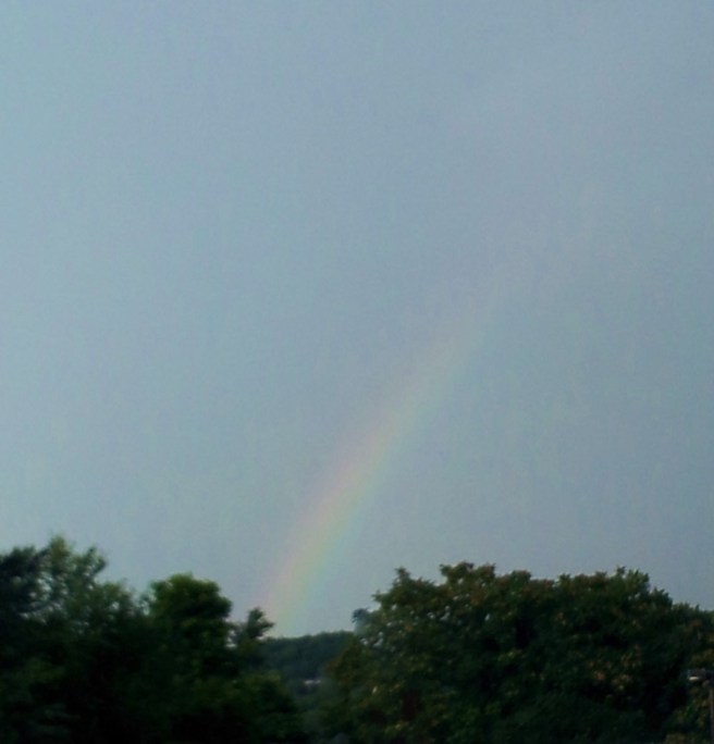 © EmpoweredDestiny.com 2015. All rights reserved.