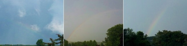 Trips, bay-bee - read 'em and weep!