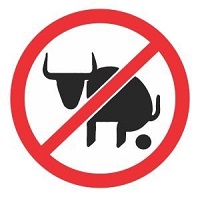 NoBulls