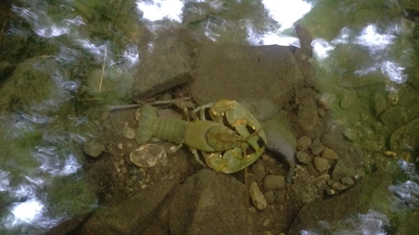 ©EmpoweredDestiny.com 2016. All rights reserved.