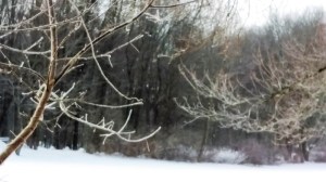 ©EmpoweredDestiny.com 2017. All rights reserved.